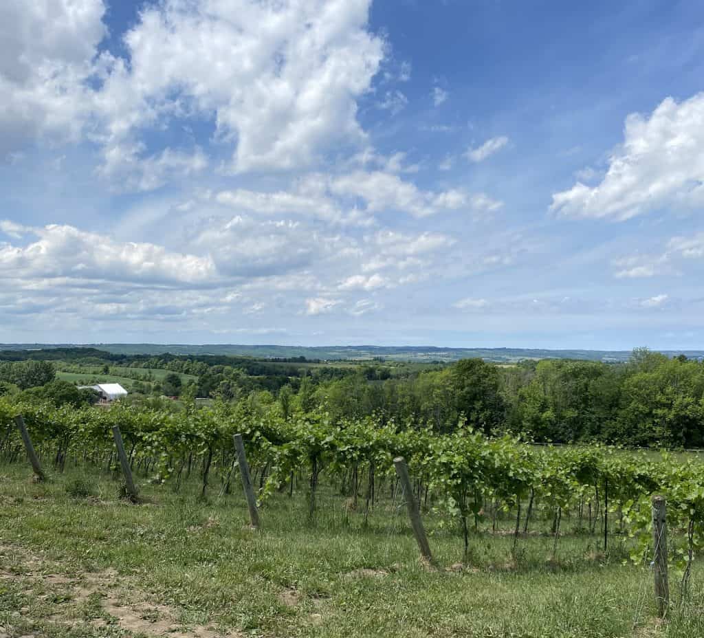 roost-winery-ontario