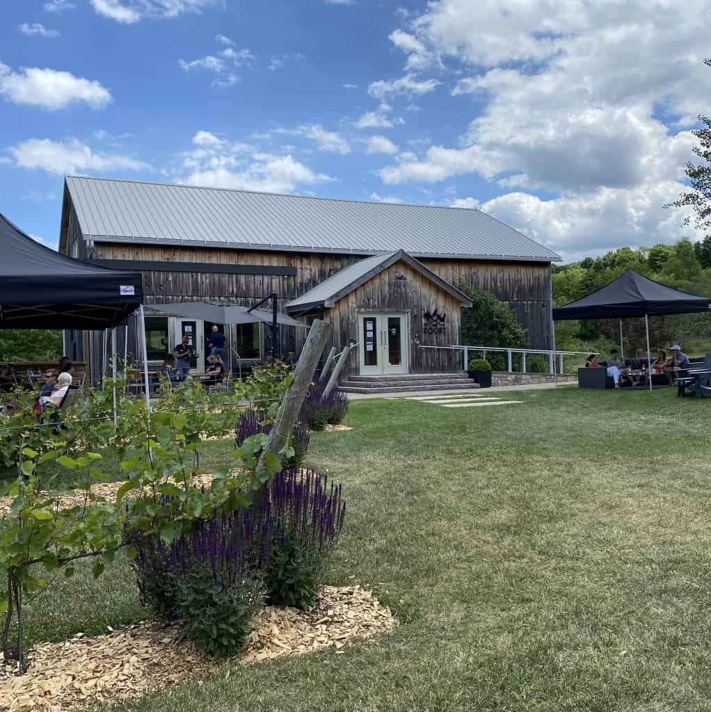 wineries-near-collingwood-ontario