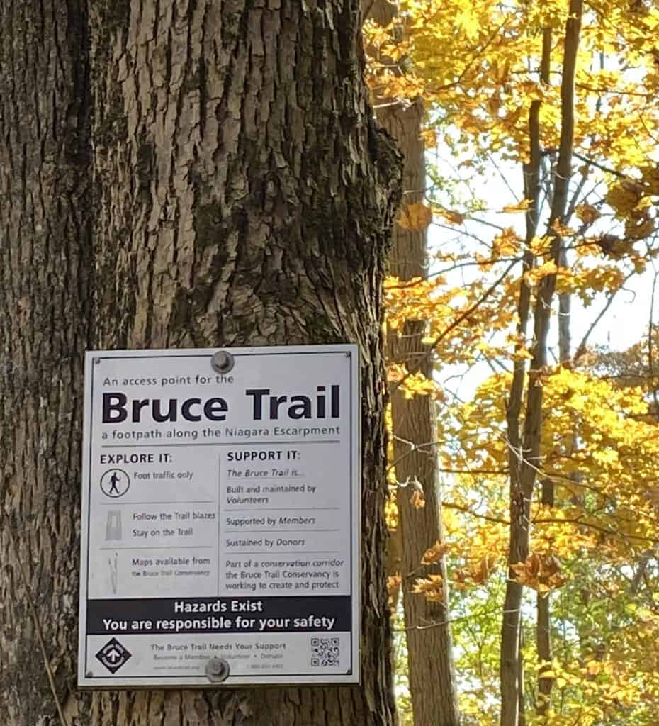 bruce-trail-hiking