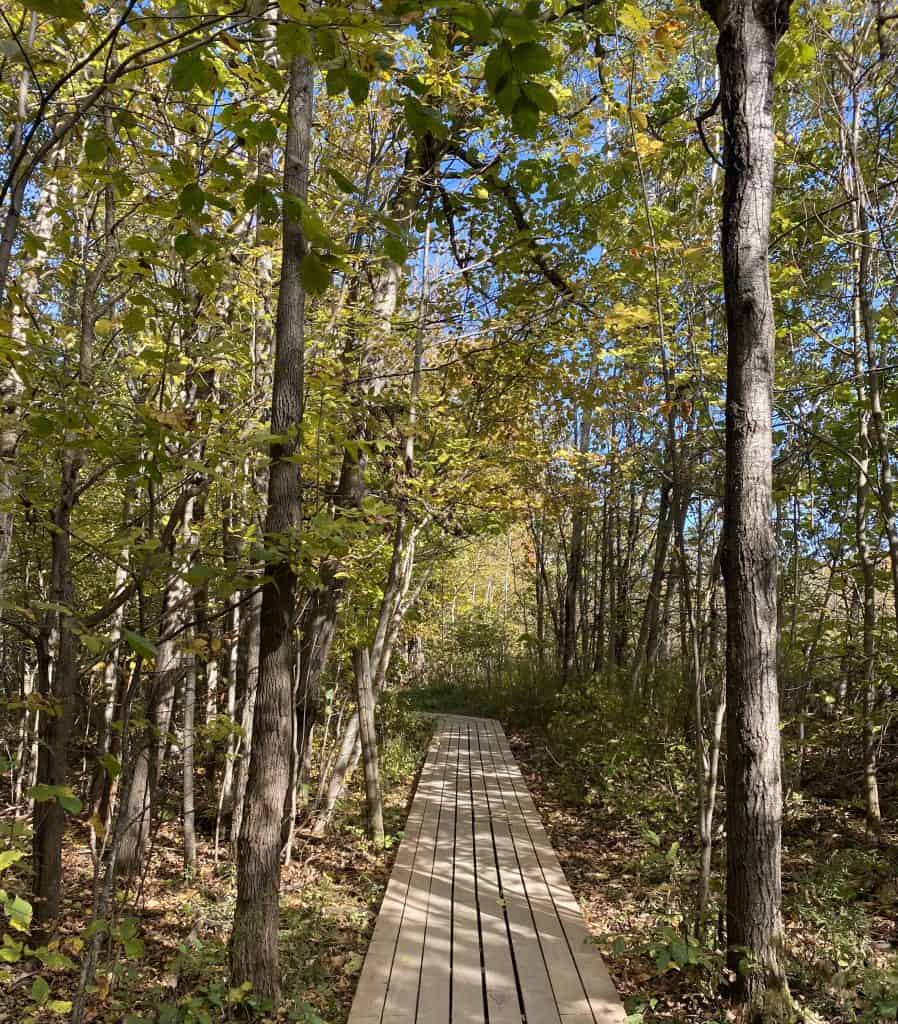 old-baldy-hike