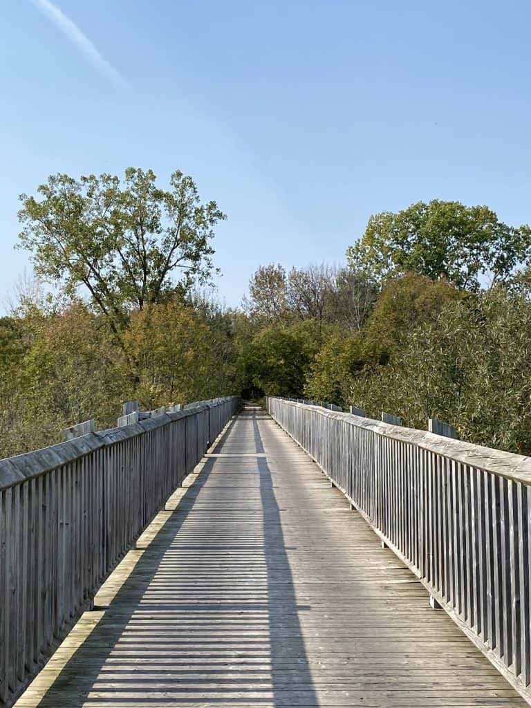 paisley-wooden-trestle-bridge