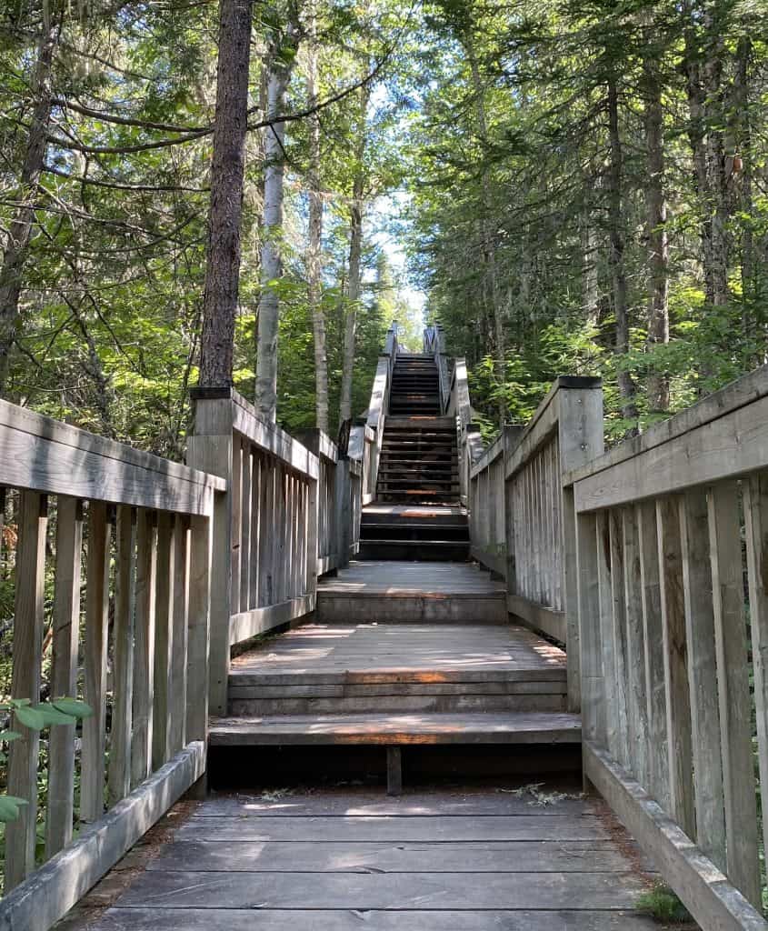 rainbow-falls-provincial-park