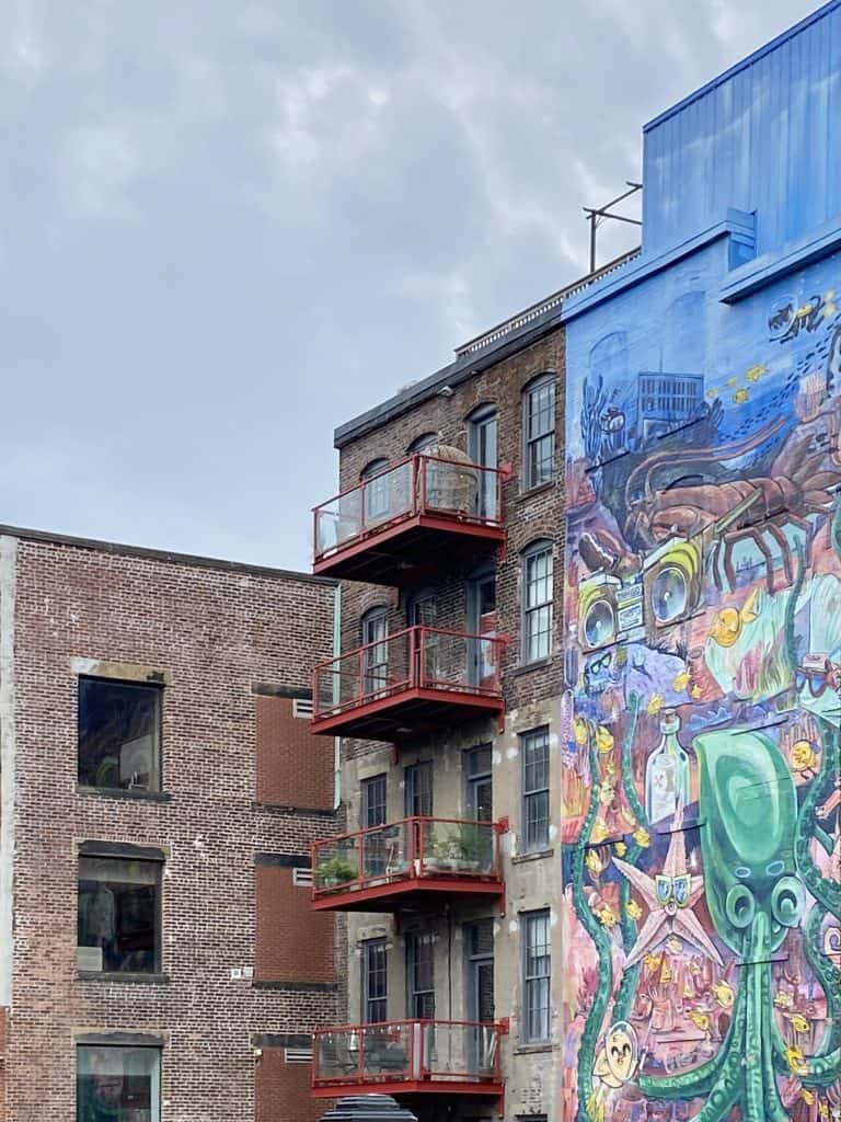 local-tours-saint-john-nb