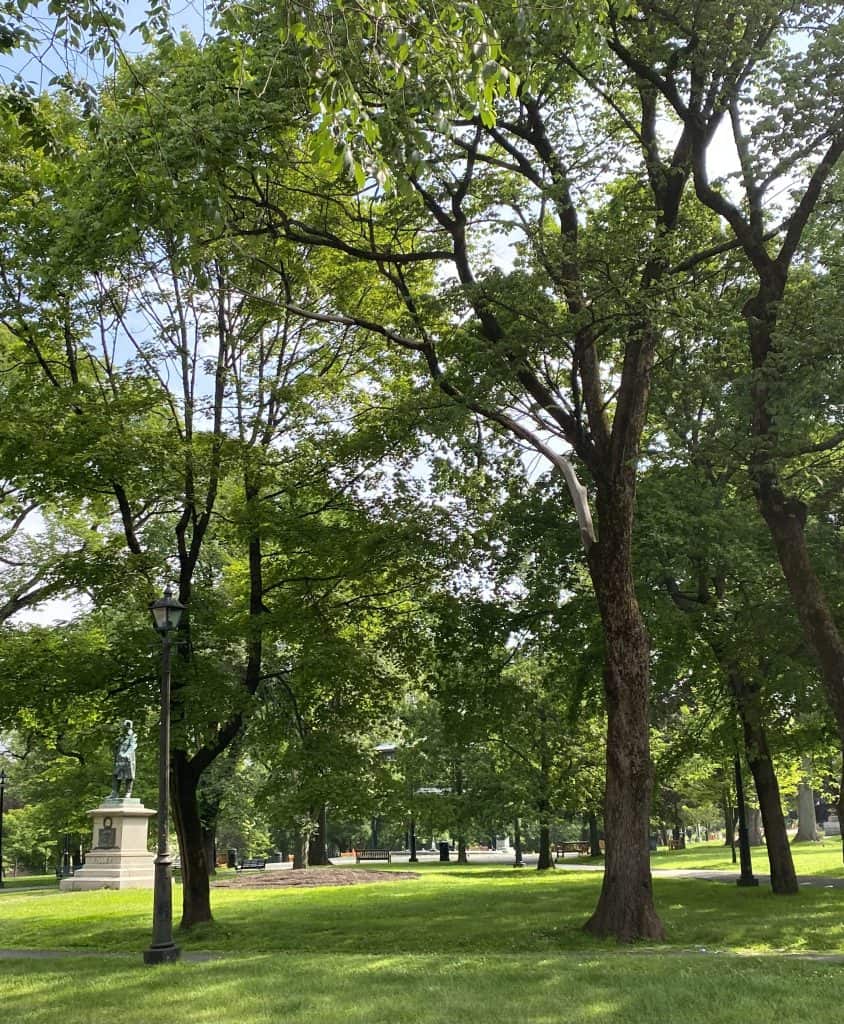 saint-john-nb-parks